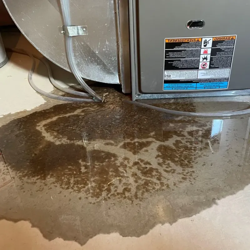 Pipe Burst and Leak Restoration in Perkins County, SD