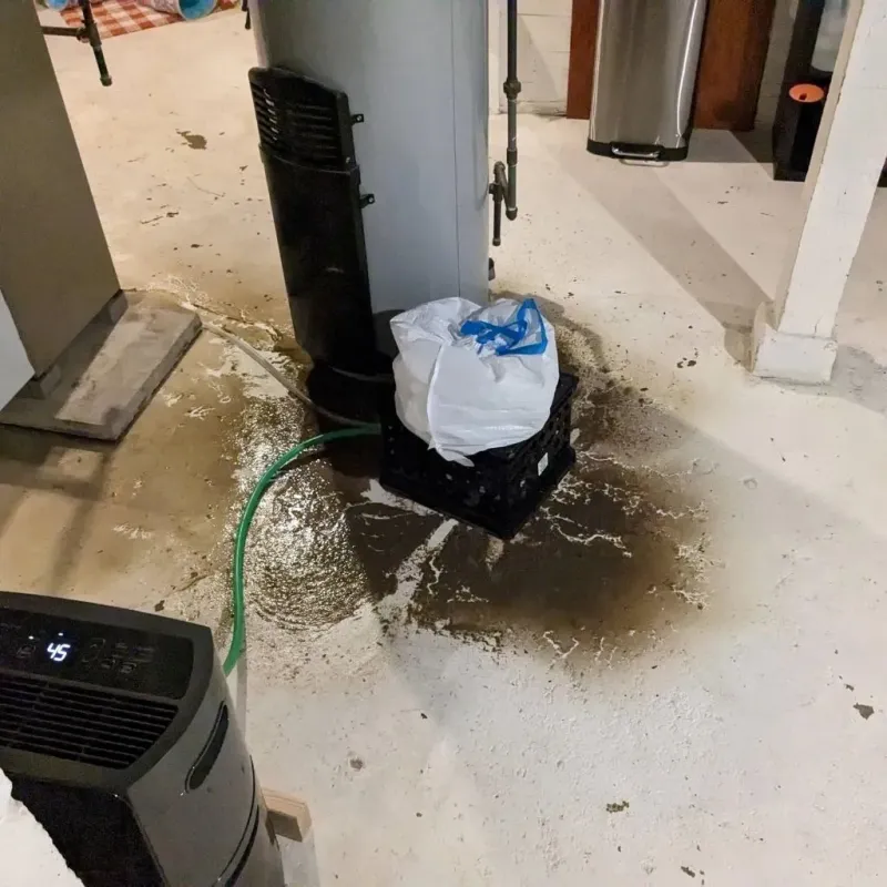 Sewage Backup Cleanup Service in Perkins County, SD